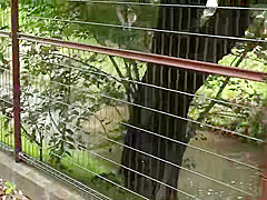20000154_４０代のニホン女性が腰振りロデオするアクメのズコバコ
