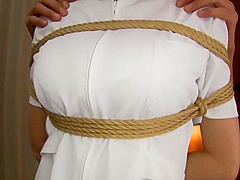 Japanese H-m-p-d-10024