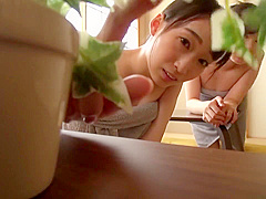 Asian Japanese Amateur