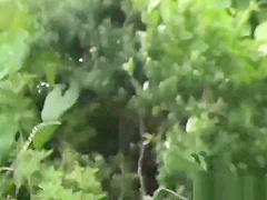 Japanese teens gush pee outdoors