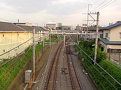 Best sex video Big Tits best exclusive version