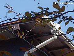 Crazy porn scene MILF best unique