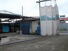 Crazy sex video Big Tits watch like in your dreams