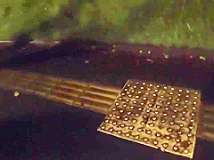 Excellent porn video Squirt full version