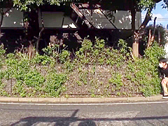 Exotic sex scene Brunette great pretty one